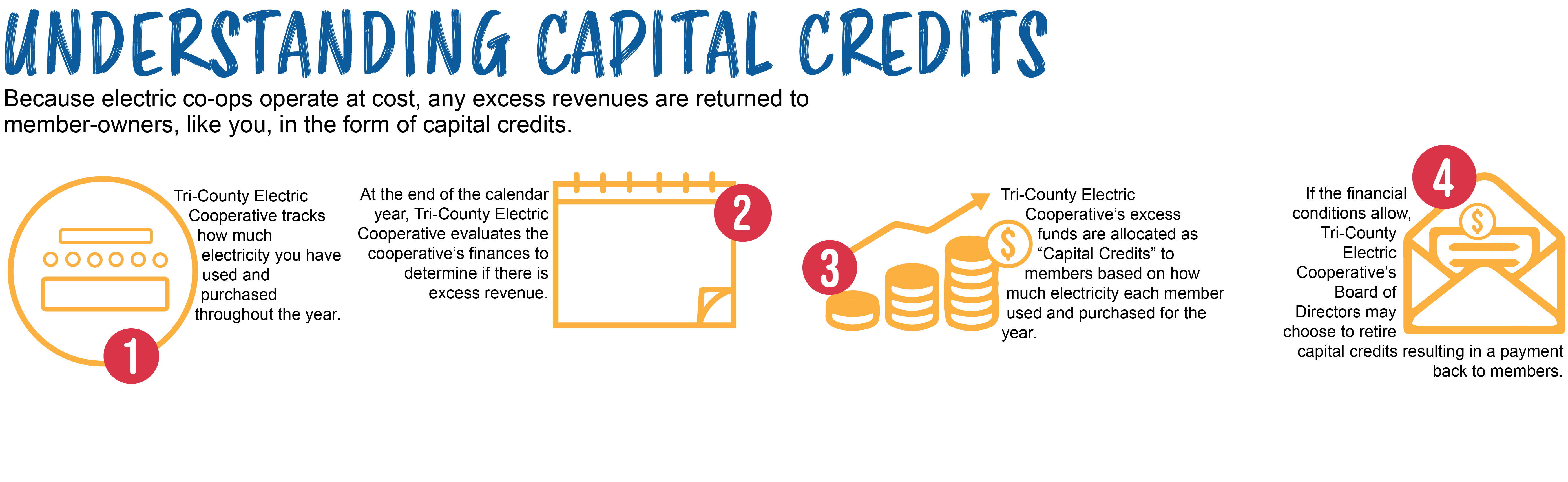 Capital Credits diagram